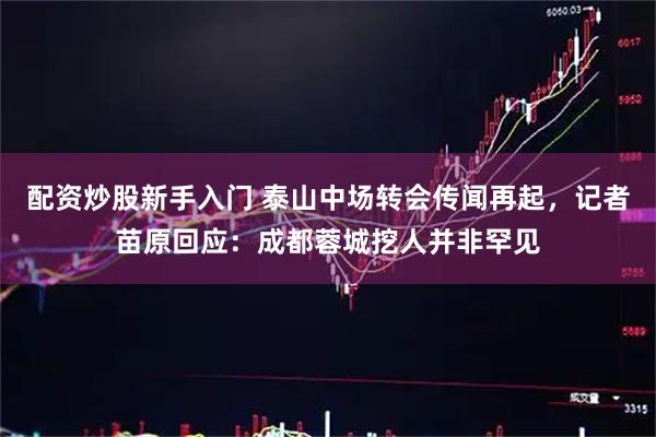 配资炒股新手入门 泰山中场转会传闻再起，记者苗原回应：成都蓉城挖人并非罕见