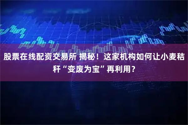 股票在线配资交易所 揭秘！这家机构如何让小麦秸秆“变废为宝”再利用？